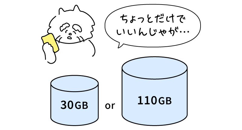30GB or 110GB。おじいちゃん猫「ちょっとだけでいいんじゃが・・・」。